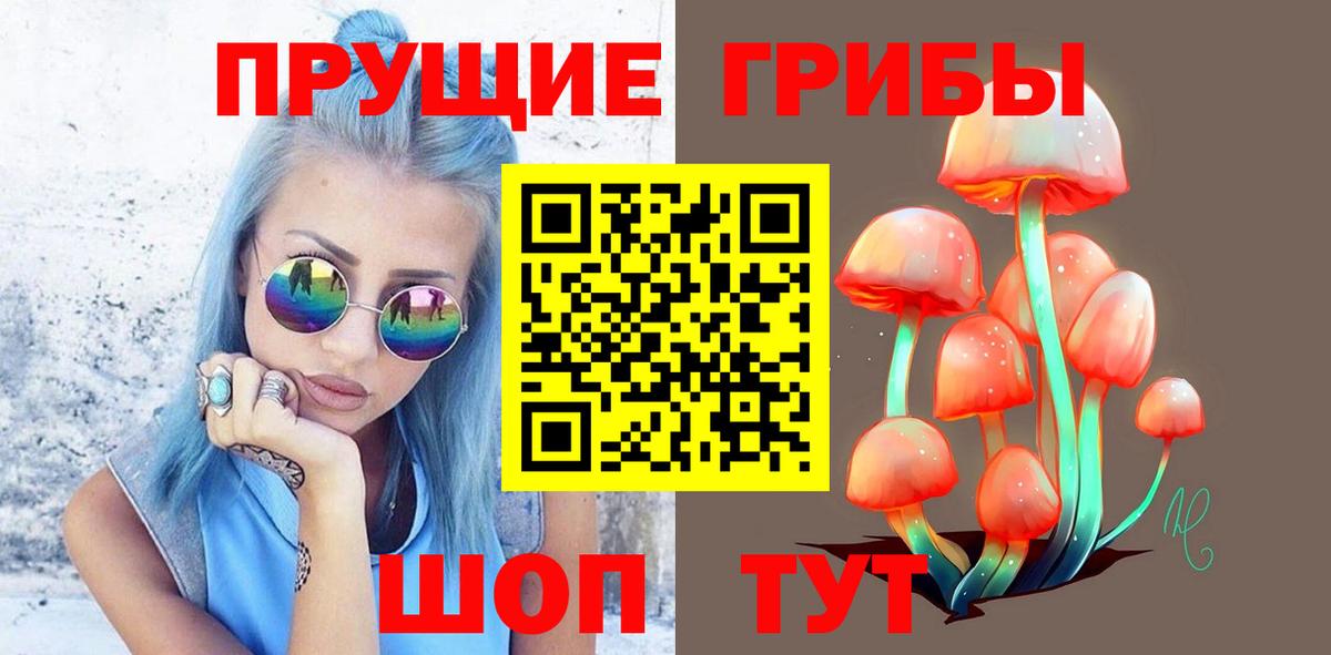 Сосновоборск  Псилоцибиновые грибы прущие грибы  Галлюциногенные грибы Psilocybe  Вход с VPN 