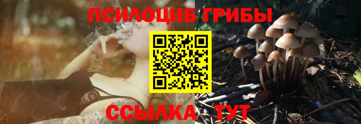 Псилоцибиновые грибы GOLDEN TEACHER Сосновоборск